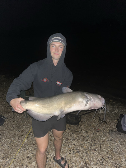 Channel Catfish