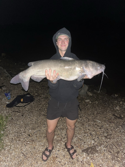 Channel Catfish