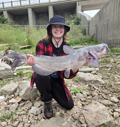 Channel Catfish