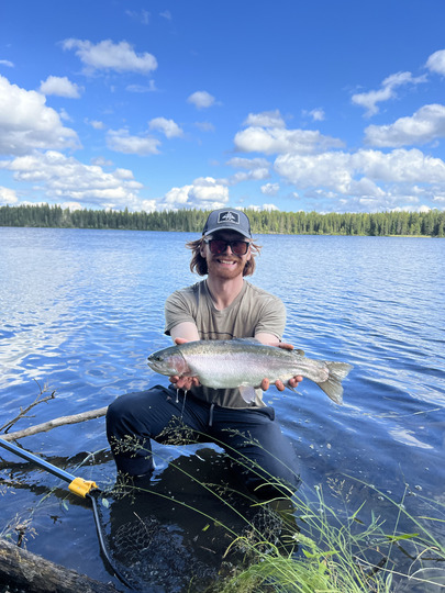 Rainbow Trout