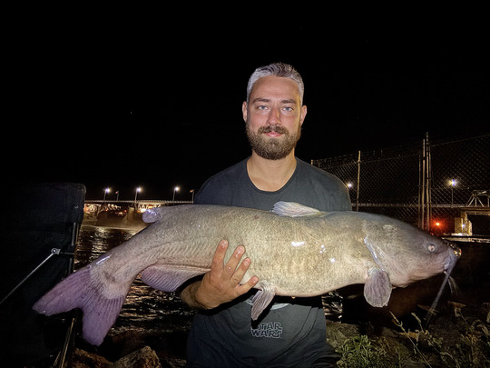 Channel Catfish