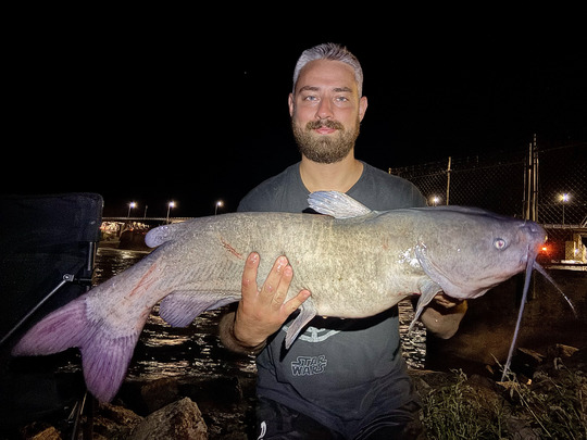 Channel Catfish