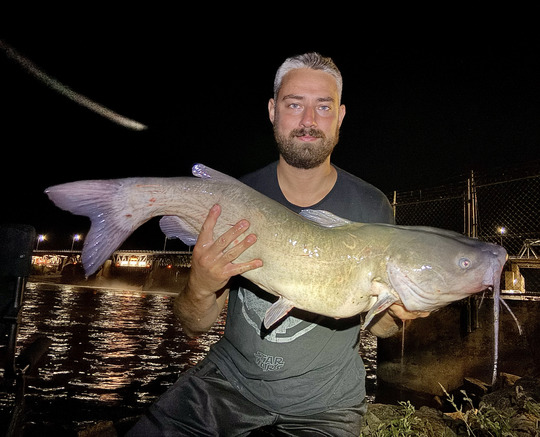 Channel Catfish