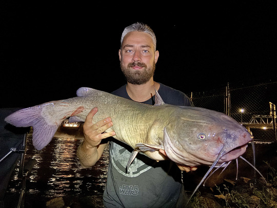 Channel Catfish
