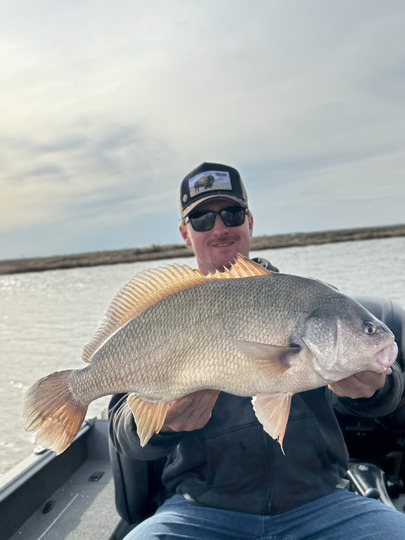 Freshwater Drum