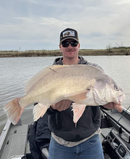 Freshwater Drum