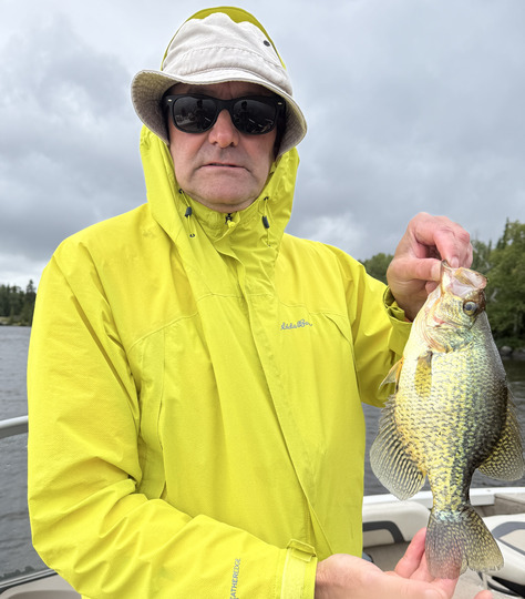 Black Crappie
