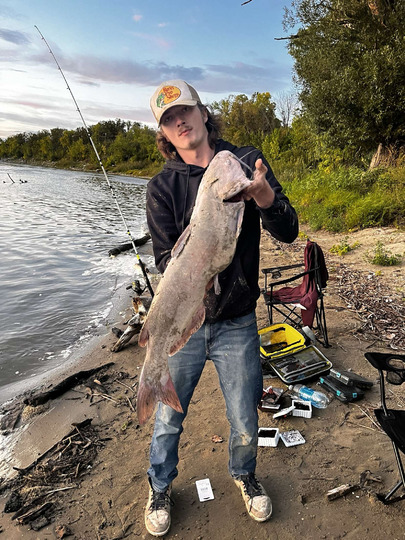 Channel Catfish
