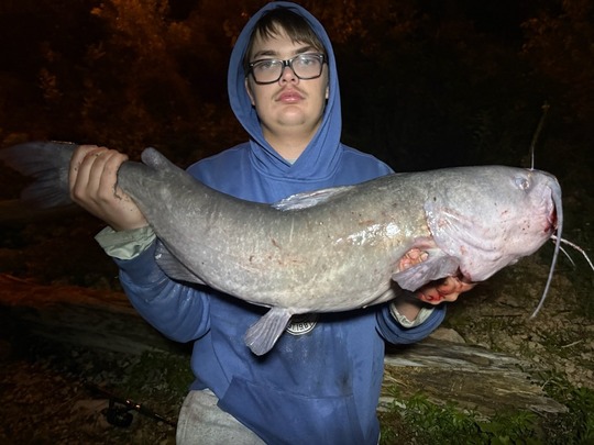 Channel Catfish