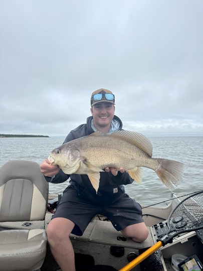 Freshwater Drum