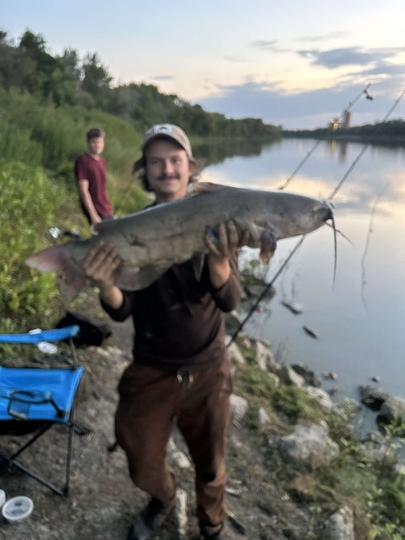 Channel Catfish