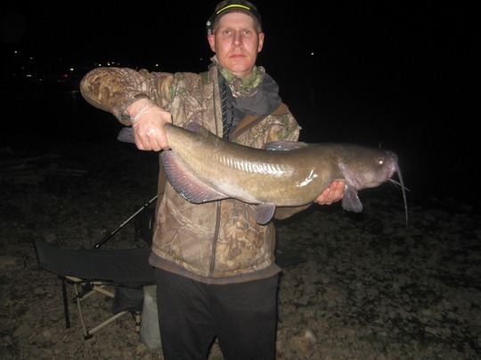 Channel Catfish