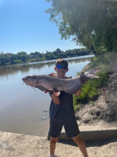 Channel Catfish