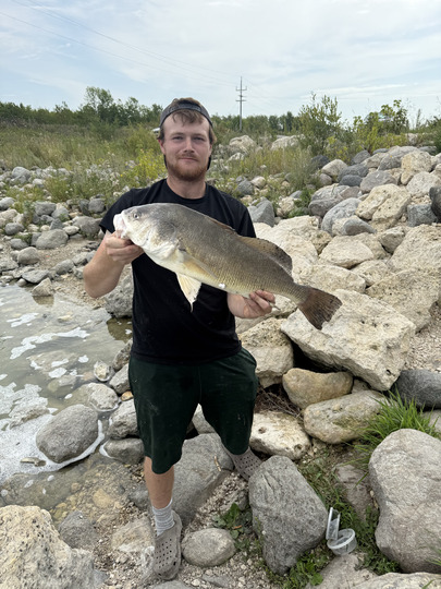Freshwater Drum