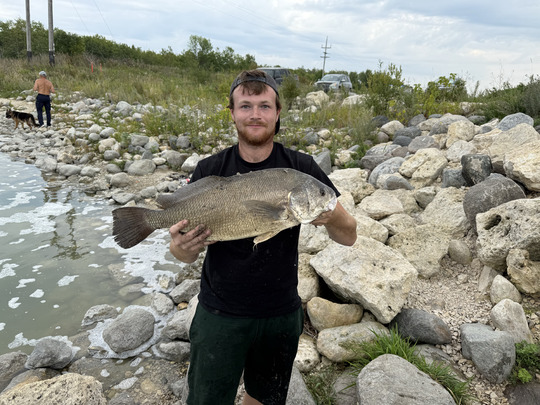 Freshwater Drum