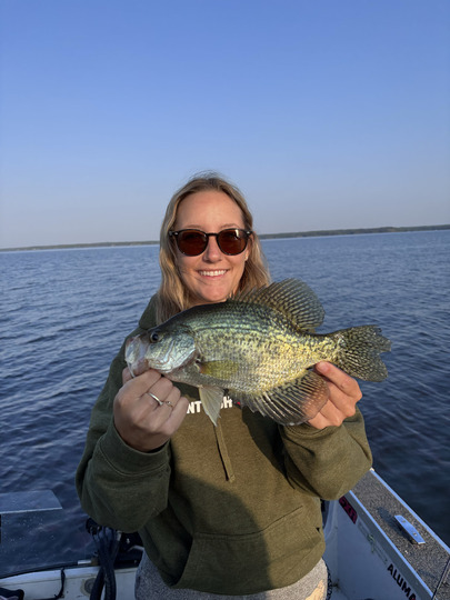 Black Crappie