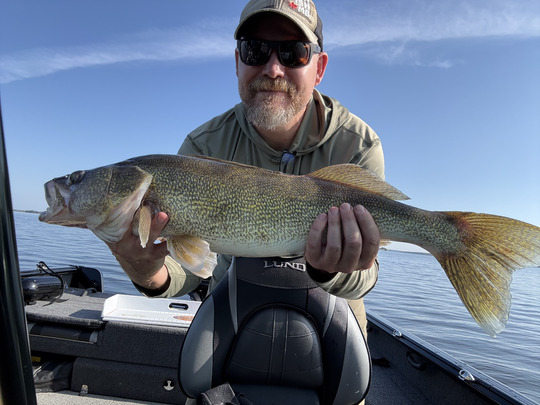 Walleye