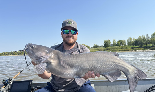 Channel Catfish