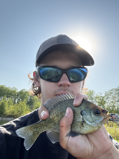 Sunfish