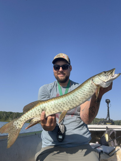 Muskellunge