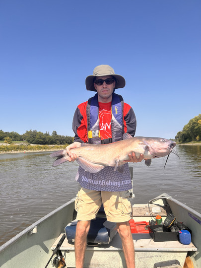 Channel Catfish