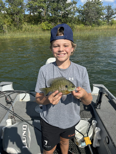 Sunfish