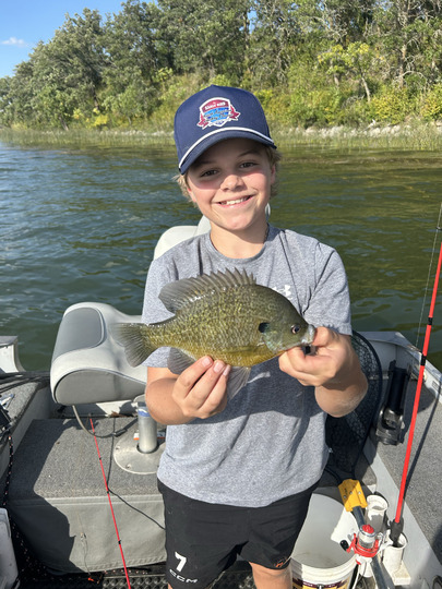 Sunfish