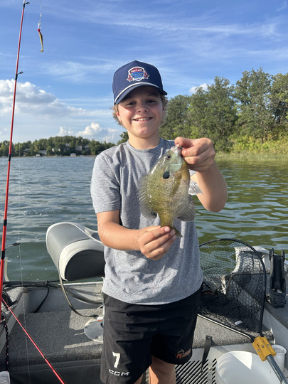Sunfish