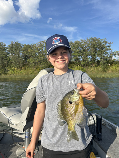 Sunfish