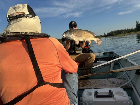 Freshwater Drum