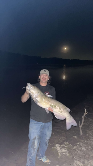 Channel Catfish
