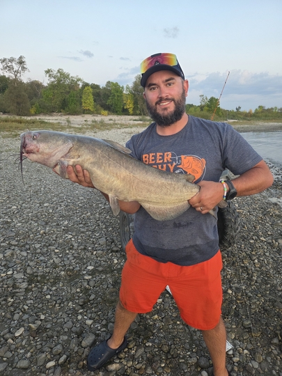Channel Catfish