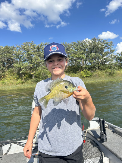 Sunfish
