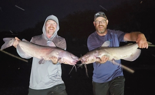 Channel Catfish