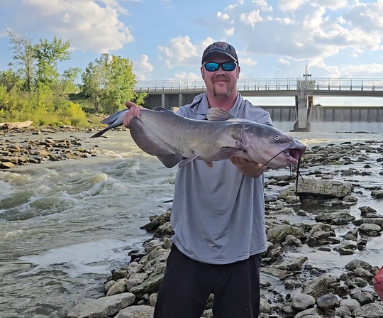 Channel Catfish