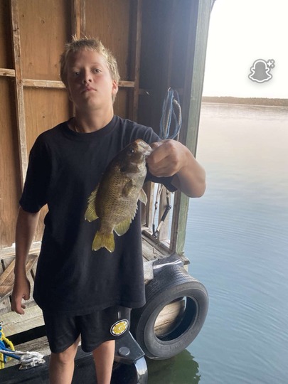 Rock Bass