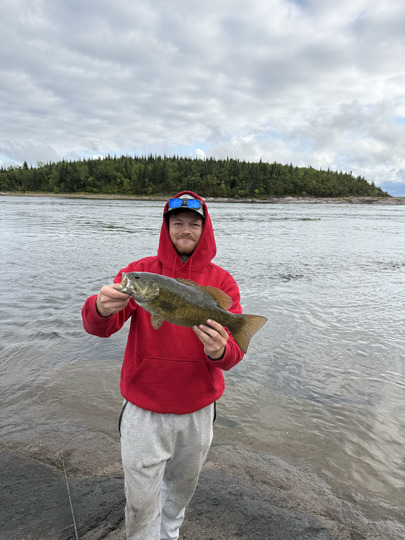 Smallmouth Bass