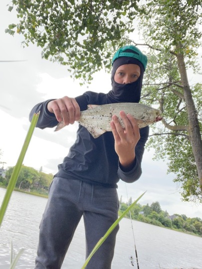 Goldeye