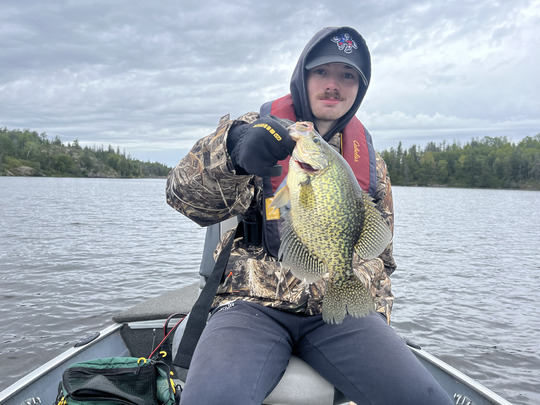 Black Crappie