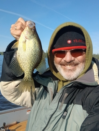 Black Crappie