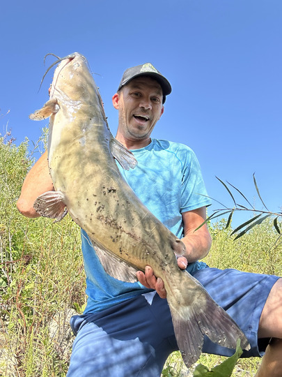 Channel Catfish