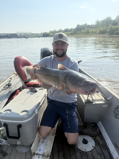 Channel Catfish