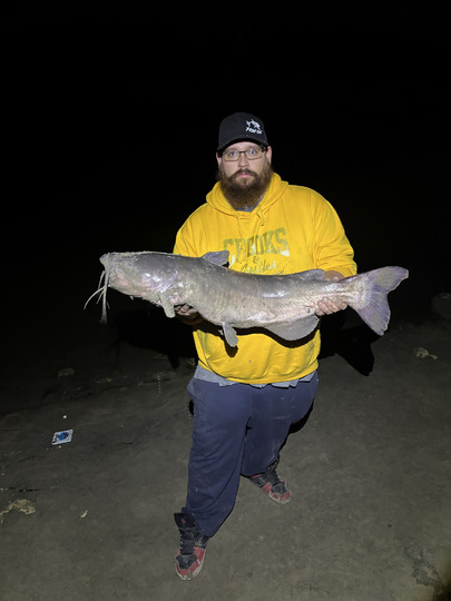 Channel Catfish