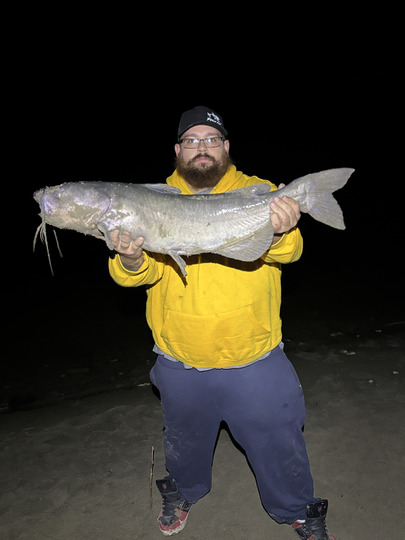 Channel Catfish