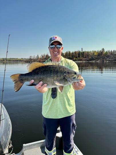 Smallmouth Bass