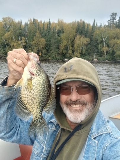 Black Crappie
