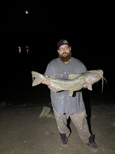 Channel Catfish