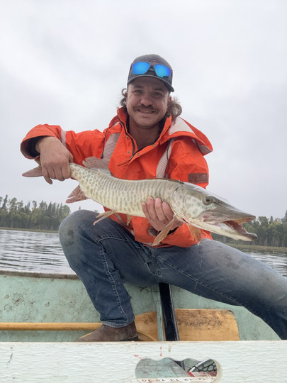 Muskellunge