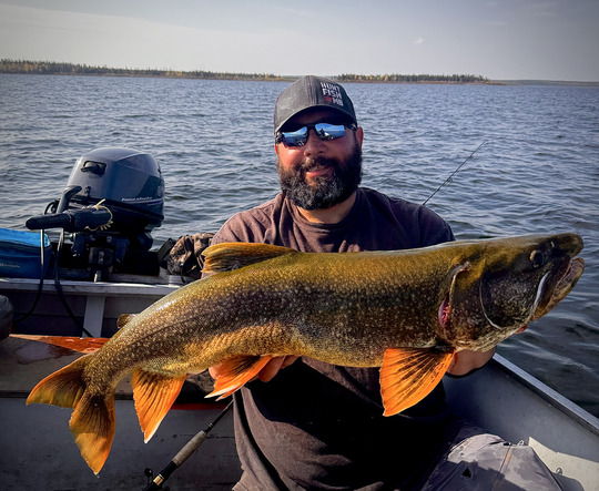 Lake Trout