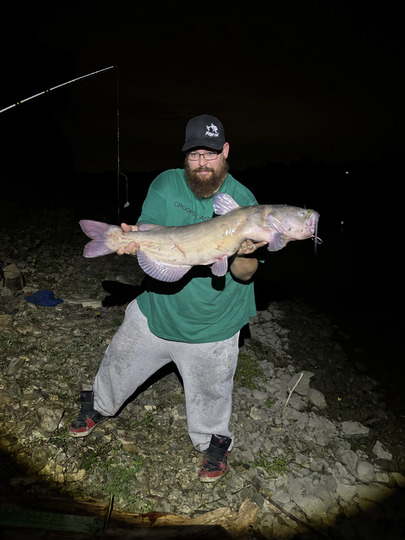 Channel Catfish